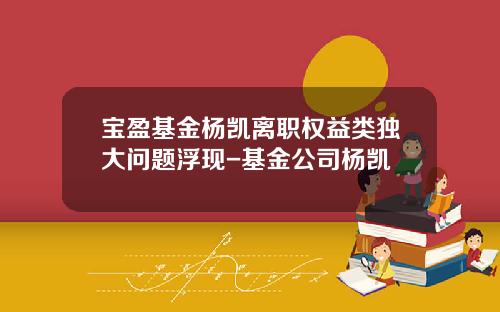 宝盈基金杨凯离职权益类独大问题浮现-基金公司杨凯