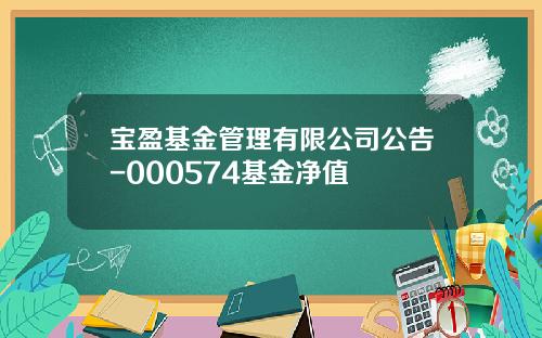 宝盈基金管理有限公司公告-000574基金净值