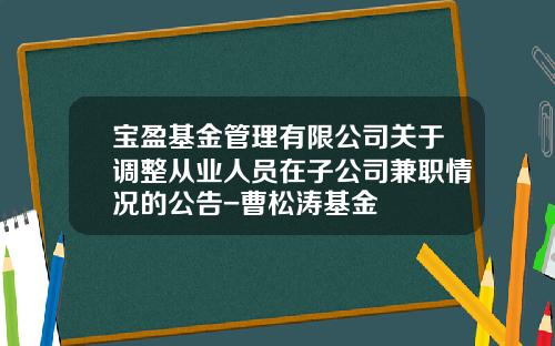宝盈基金管理有限公司关于调整从业人员在子公司兼职情况的公告-曹松涛基金