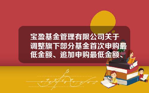 宝盈基金管理有限公司关于调整旗下部分基金首次申购最低金额、追加申购最低金额、最低定期定额投资金额、最低转换转出份额、最低赎回份额及最低持有份额限制的公告-宝盈基金转换