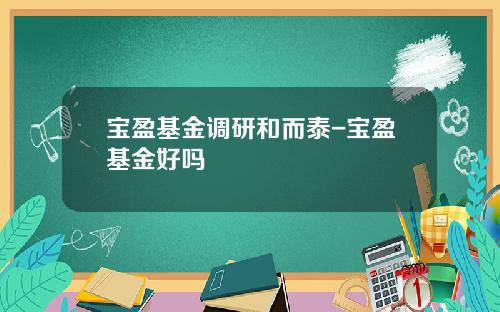 宝盈基金调研和而泰-宝盈基金好吗