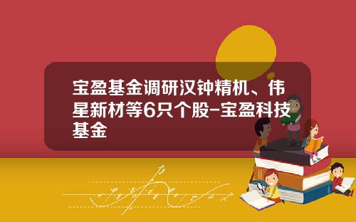 宝盈基金调研汉钟精机、伟星新材等6只个股-宝盈科技基金
