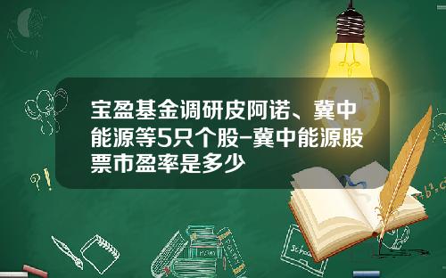 宝盈基金调研皮阿诺、冀中能源等5只个股-冀中能源股票市盈率是多少