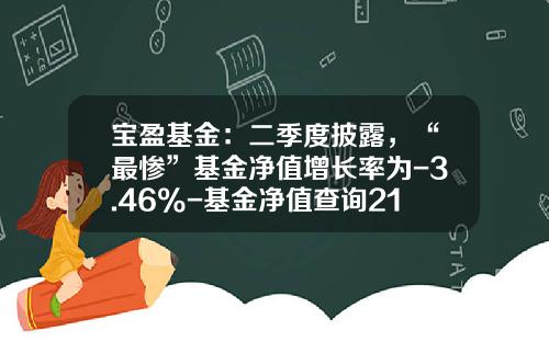宝盈基金：二季度披露，“最惨”基金净值增长率为-3.46%-基金净值查询213006