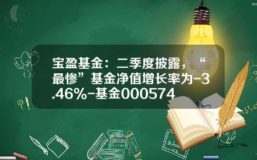 宝盈基金：二季度披露，“最惨”基金净值增长率为-3.46%-基金000574净值