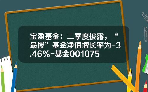 宝盈基金：二季度披露，“最惨”基金净值增长率为-3.46%-基金001075