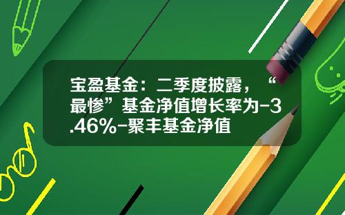 宝盈基金：二季度披露，“最惨”基金净值增长率为-3.46%-聚丰基金净值