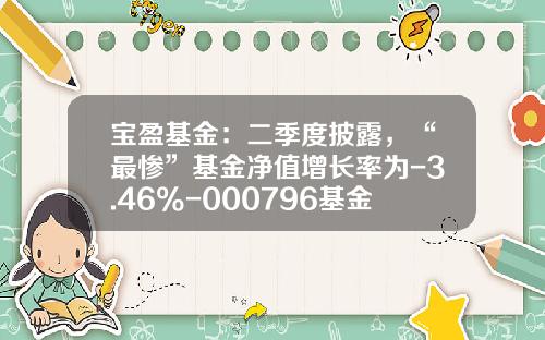 宝盈基金：二季度披露，“最惨”基金净值增长率为-3.46%-000796基金
