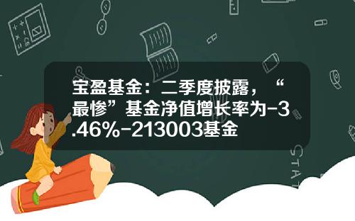 宝盈基金：二季度披露，“最惨”基金净值增长率为-3.46%-213003基金净值