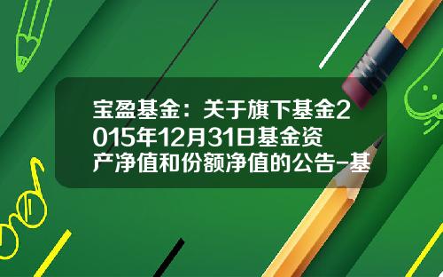 宝盈基金：关于旗下基金2015年12月31日基金资产净值和份额净值的公告-基金000574