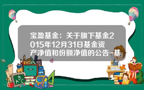 宝盈基金：关于旗下基金2015年12月31日基金资产净值和份额净值的公告-基金213002