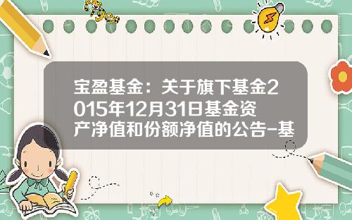 宝盈基金：关于旗下基金2015年12月31日基金资产净值和份额净值的公告-基金213008