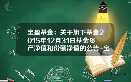 宝盈基金：关于旗下基金2015年12月31日基金资产净值和份额净值的公告-宝盈养老基金