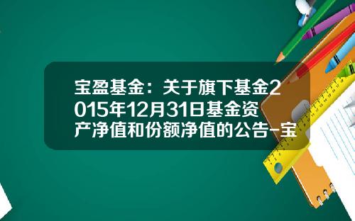 宝盈基金：关于旗下基金2015年12月31日基金资产净值和份额净值的公告-宝盈泛沿海基金净值