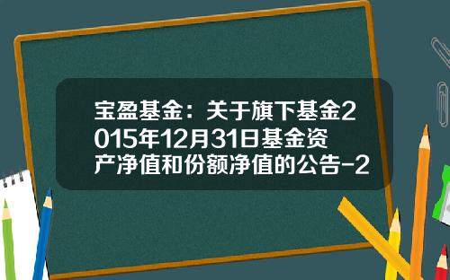 宝盈基金：关于旗下基金2015年12月31日基金资产净值和份额净值的公告-213001基金净值