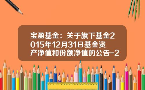 宝盈基金：关于旗下基金2015年12月31日基金资产净值和份额净值的公告-213002基金净值查询宝盈泛沿海