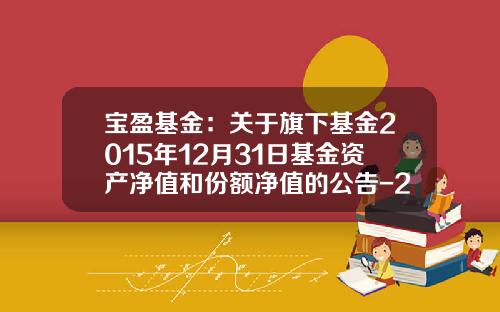 宝盈基金：关于旗下基金2015年12月31日基金资产净值和份额净值的公告-213002基金