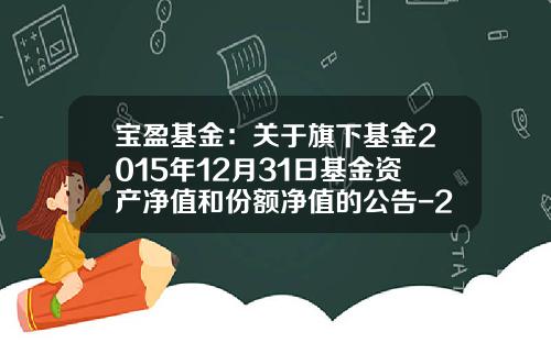 宝盈基金：关于旗下基金2015年12月31日基金资产净值和份额净值的公告-213003基金净值查询