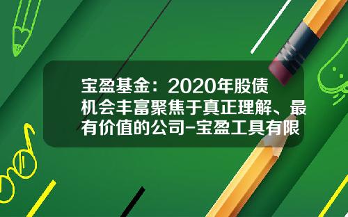 宝盈基金：2020年股债机会丰富聚焦于真正理解、最有价值的公司-宝盈工具有限公司