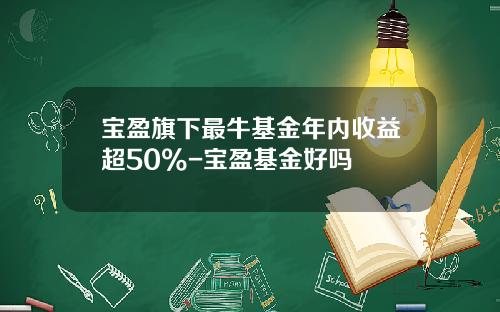 宝盈旗下最牛基金年内收益超50%-宝盈基金好吗