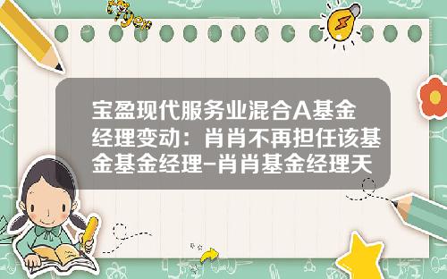宝盈现代服务业混合A基金经理变动：肖肖不再担任该基金基金经理-肖肖基金经理天天基金