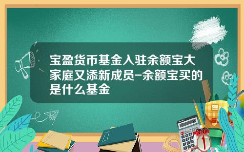 宝盈货币基金入驻余额宝大家庭又添新成员-余额宝买的是什么基金