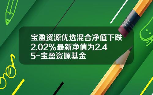 宝盈资源优选混合净值下跌2.02%最新净值为2.45-宝盈资源基金