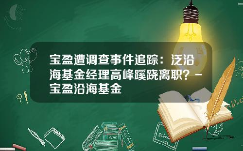 宝盈遭调查事件追踪：泛沿海基金经理高峰蹊跷离职？-宝盈沿海基金