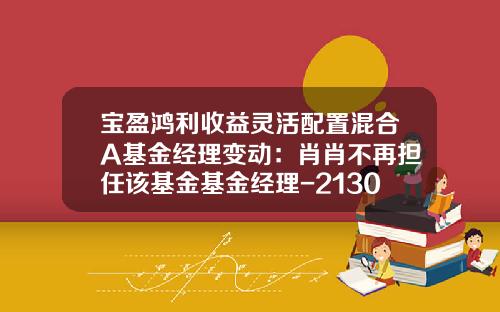 宝盈鸿利收益灵活配置混合A基金经理变动：肖肖不再担任该基金基金经理-213001基金净值