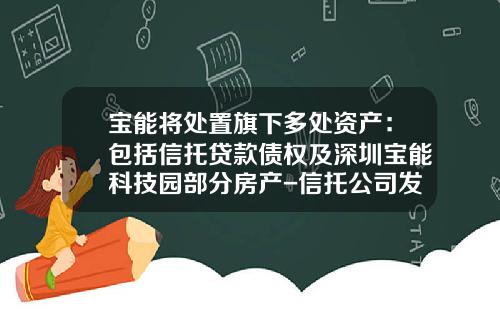 宝能将处置旗下多处资产：包括信托贷款债权及深圳宝能科技园部分房产-信托公司发放贷款