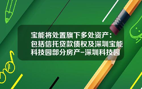 宝能将处置旗下多处资产：包括信托贷款债权及深圳宝能科技园部分房产-深圳科技园有多少上市公司