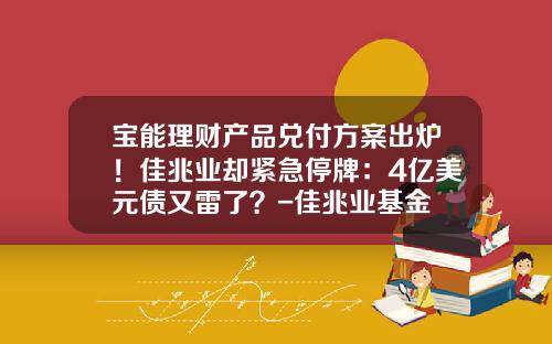 宝能理财产品兑付方案出炉！佳兆业却紧急停牌：4亿美元债又雷了？-佳兆业基金