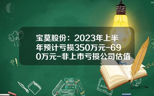 宝莫股份：2023年上半年预计亏损350万元-690万元-非上市亏损公司估值