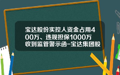 宝达股份实控人资金占用400万、违规担保1000万收到监管警示函-宝达集团股份有限公司