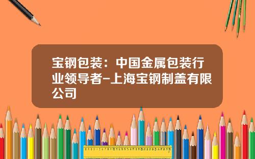 宝钢包装：中国金属包装行业领导者-上海宝钢制盖有限公司