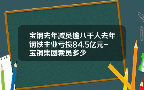宝钢去年减员逾八千人去年钢铁主业亏损84.5亿元-宝钢集团裁员多少