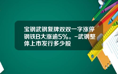 宝钢武钢复牌双双一字涨停钢铁B大涨逾5%。-武钢整体上市发行多少股