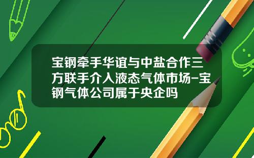 宝钢牵手华谊与中盐合作三方联手介入液态气体市场-宝钢气体公司属于央企吗