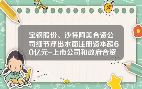 宝钢股份、沙特阿美合资公司细节浮出水面注册资本超60亿元-上市公司和政府合资的公司