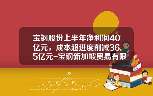 宝钢股份上半年净利润40亿元，成本超进度削减36.5亿元-宝钢新加坡贸易有限公司
