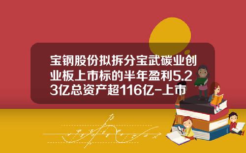 宝钢股份拟拆分宝武碳业创业板上市标的半年盈利5.23亿总资产超116亿-上市公司财务报表宝钢
