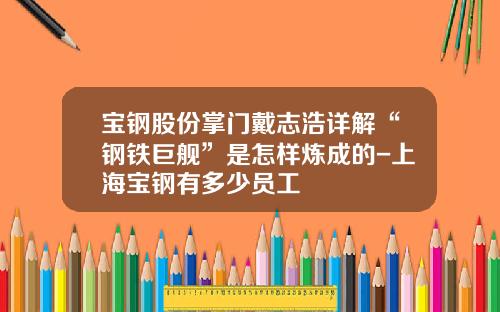 宝钢股份掌门戴志浩详解“钢铁巨舰”是怎样炼成的-上海宝钢有多少员工