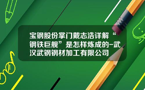 宝钢股份掌门戴志浩详解“钢铁巨舰”是怎样炼成的-武汉武钢钢材加工有限公司