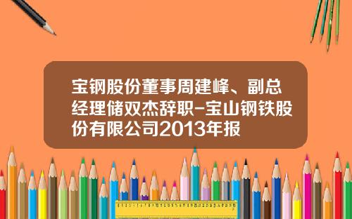 宝钢股份董事周建峰、副总经理储双杰辞职-宝山钢铁股份有限公司2013年报