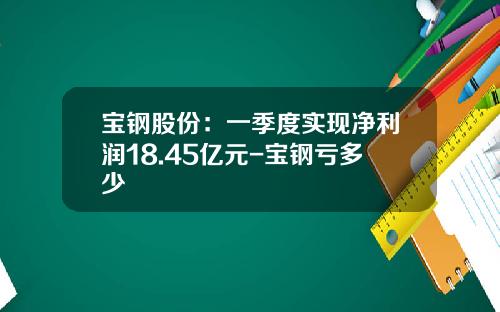宝钢股份：一季度实现净利润18.45亿元-宝钢亏多少