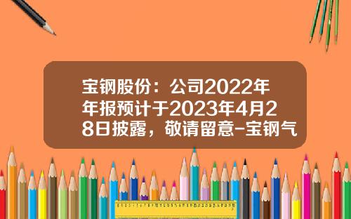 宝钢股份：公司2022年年报预计于2023年4月28日披露，敬请留意-宝钢气体公司属于央企吗
