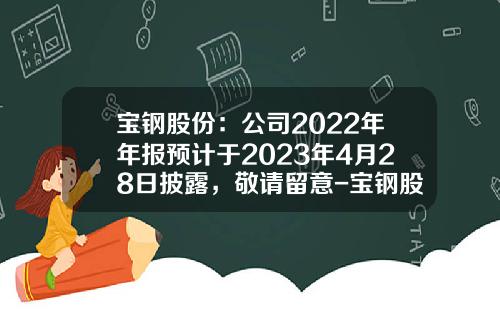 宝钢股份：公司2022年年报预计于2023年4月28日披露，敬请留意-宝钢股份股票最新资讯
