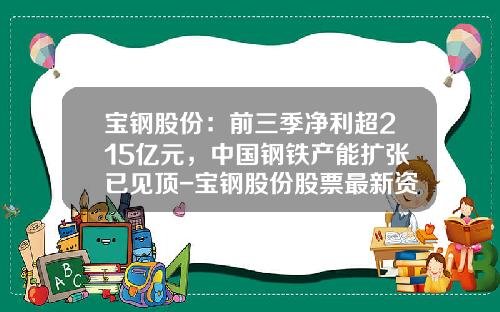 宝钢股份：前三季净利超215亿元，中国钢铁产能扩张已见顶-宝钢股份股票最新资讯