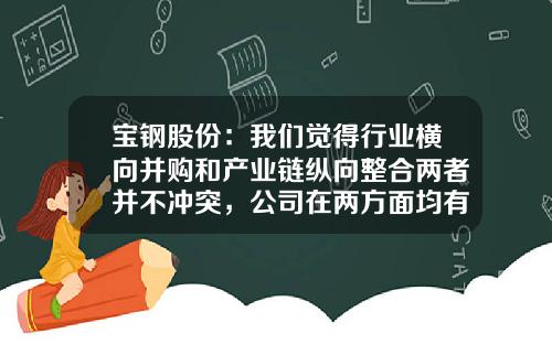 宝钢股份：我们觉得行业横向并购和产业链纵向整合两者并不冲突，公司在两方面均有考虑-上市公司并购劳务问题