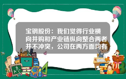 宝钢股份：我们觉得行业横向并购和产业链纵向整合两者并不冲突，公司在两方面均有考虑-关于股票的视频资讯